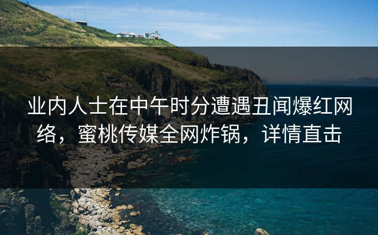 业内人士在中午时分遭遇丑闻爆红网络，蜜桃传媒全网炸锅，详情直击