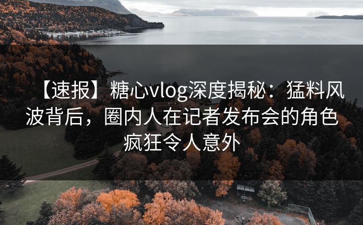 【速报】糖心vlog深度揭秘：猛料风波背后，圈内人在记者发布会的角色疯狂令人意外