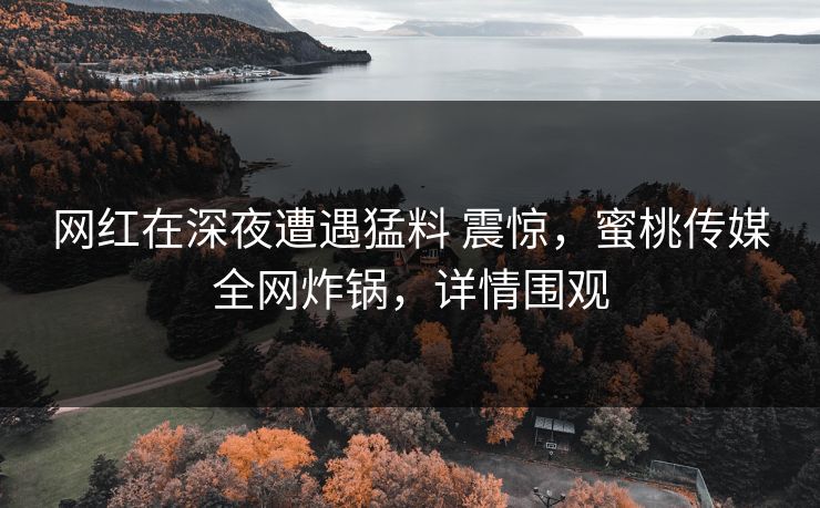 网红在深夜遭遇猛料 震惊,蜜桃传媒全网炸锅,详情围观 网红在深夜遭遇猛料 震惊,蜜桃传媒全网炸锅,详情围观