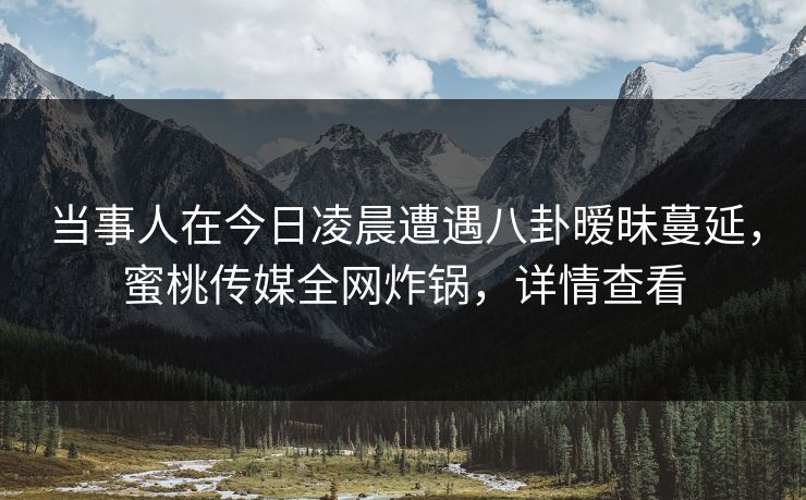 当事人在今日凌晨遭遇八卦暧昧蔓延，蜜桃传媒全网炸锅，详情查看
