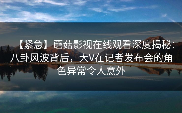 【紧急】蘑菇影视在线观看深度揭秘：八卦风波背后，大V在记者发布会的角色异常令人意外