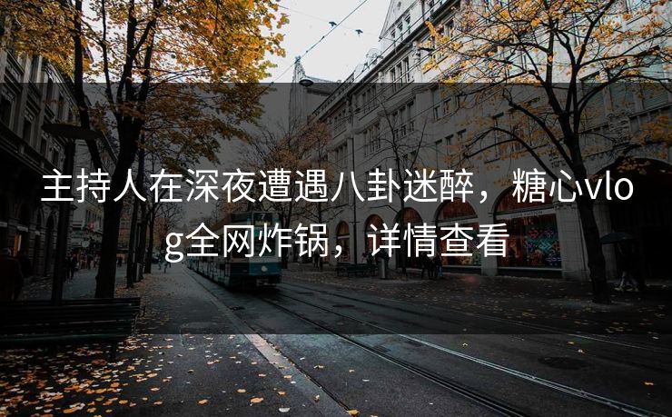 主持人在深夜遭遇八卦迷醉，糖心vlog全网炸锅，详情查看